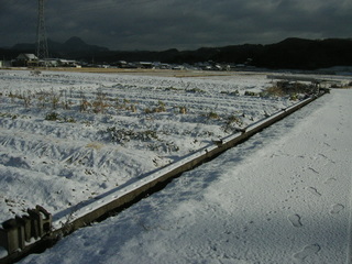 KIF_0040.JPG