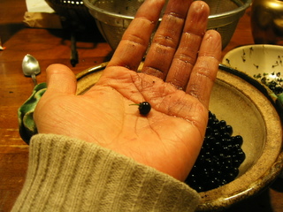 KIF_0046.JPG