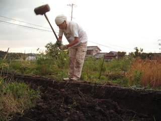 KIF_0223.JPG