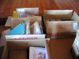 KIF_0226.JPG