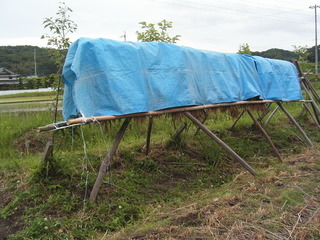 KIF_0262.JPG