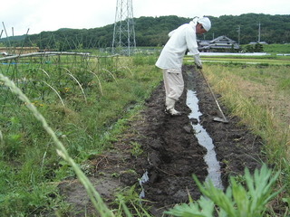 KIF_0271.JPG