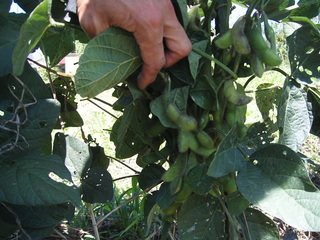 KIF_1093.JPG
