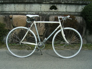 KIF_1107.JPG