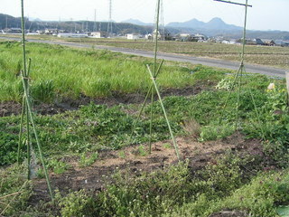 KIF_1143.JPG