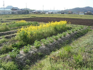KIF_1155.JPG
