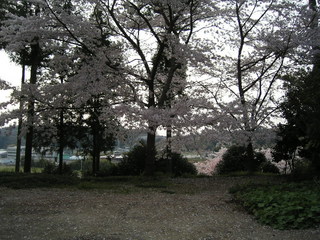 KIF_1166.JPG