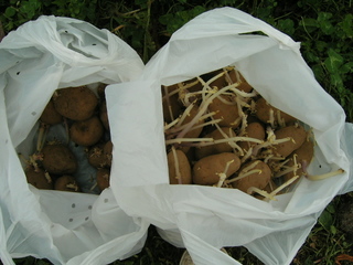 KIF_1207.JPG