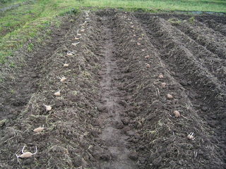 KIF_1209.JPG