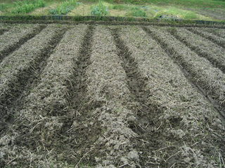 KIF_1249.JPG