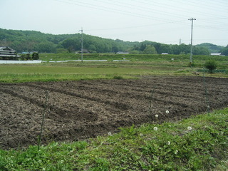 KIF_1259.JPG
