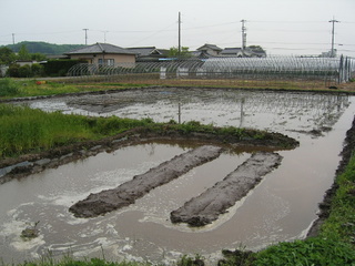 KIF_1265.JPG