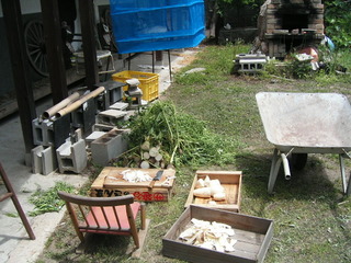 KIF_1274.JPG