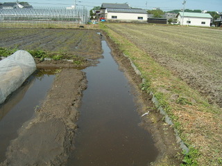 KIF_1328.JPG