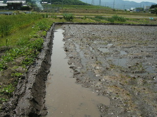 KIF_1337.JPG