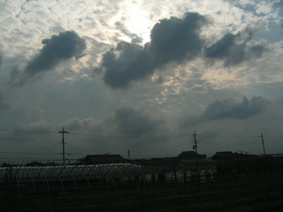 KIF_1348.JPG