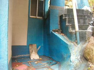 KIF_1407.JPG