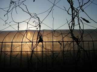 KIF_1455.JPG