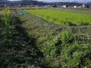 KIF_1770.JPG