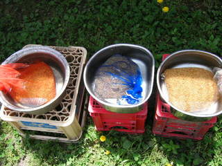 KIF_2008.JPG