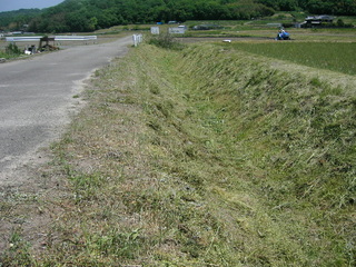 KIF_2057.JPG