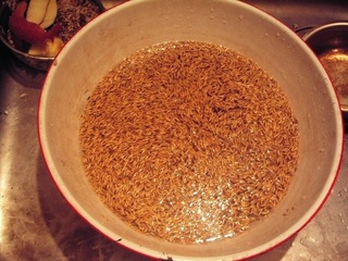 KIF_2453.jpg