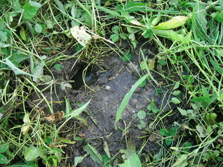 KIF_2504.JPG