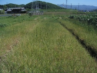 KIF_2557.jpg