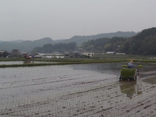 KIF_2626.jpg