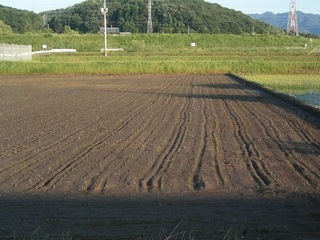 KIF_2664.jpg