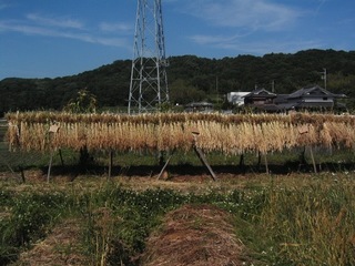 KIF_2673.jpg