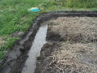KIF_2689.jpg