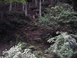 KIF_2711.jpg