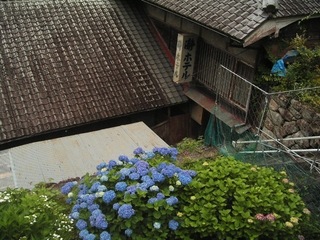 KIF_2772.jpg