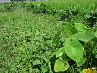 KIF_2844.JPG