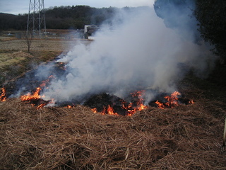 KIF_2854.jpg
