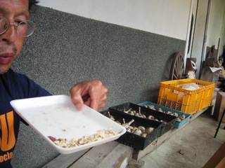 KIF_3045.jpg