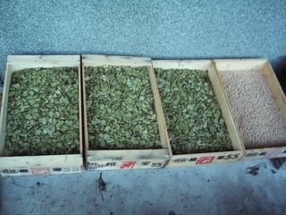 KIF_3048.jpg