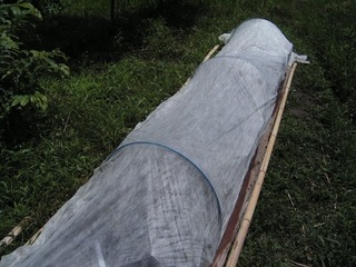 KIF_3144.jpg