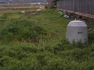 KIF_3640.jpg