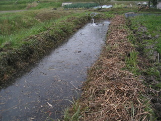 KIF_3945.jpg