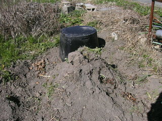 KIF_4028.JPG