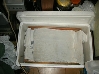 KIF_4088.JPG