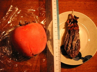 KIF_4091.JPG