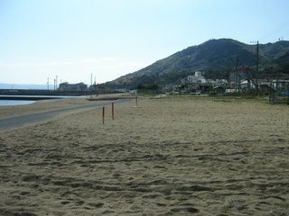 KIF_4141.JPG