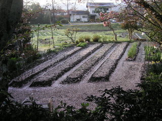 KIF_4143.JPG