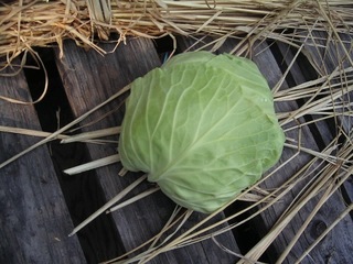 KIF_4510.jpg