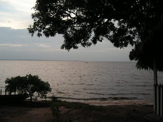 KIF_5390.JPG