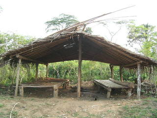 KIF_5606.JPG