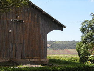 KIF_6094.JPG